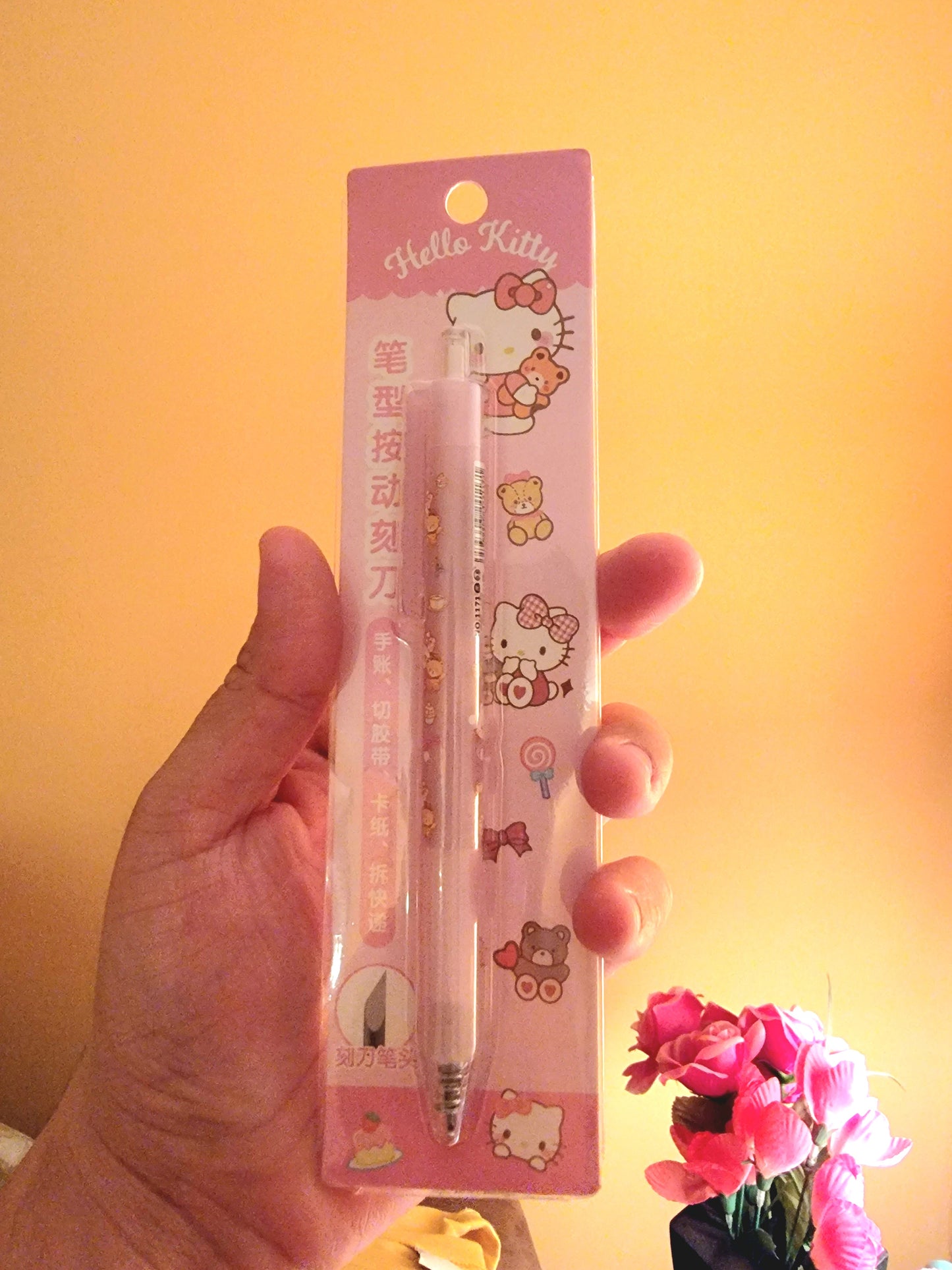 S♡nrio Carving Art Knife Pen