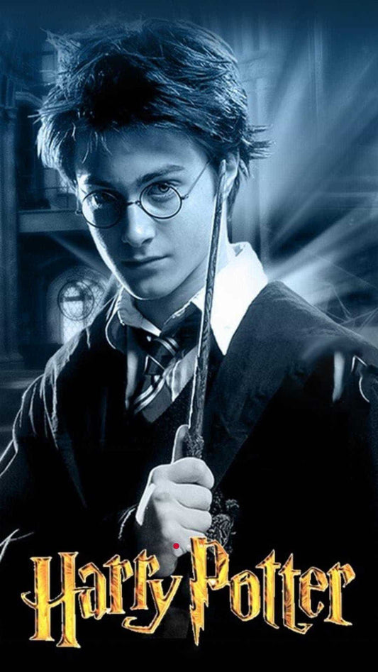 Harry Potter Blind Box Pens