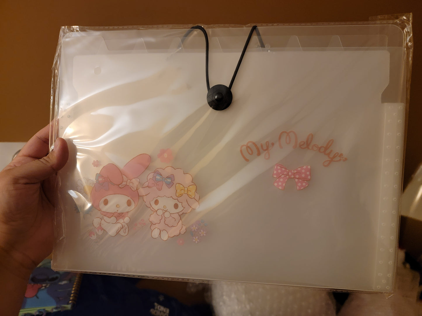 S♡nrio Document Organizers & More